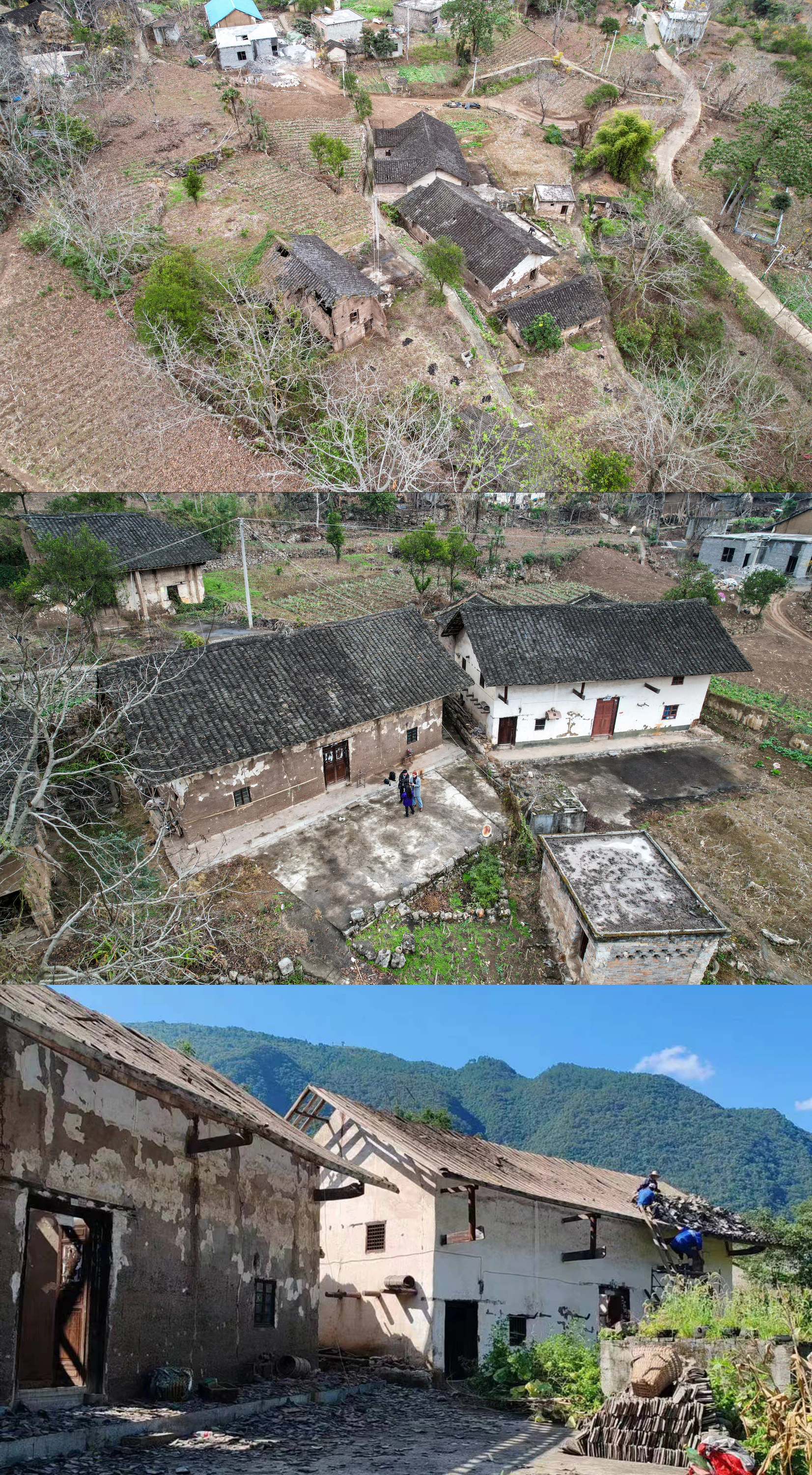 贵州金沙县远山集·神树 3